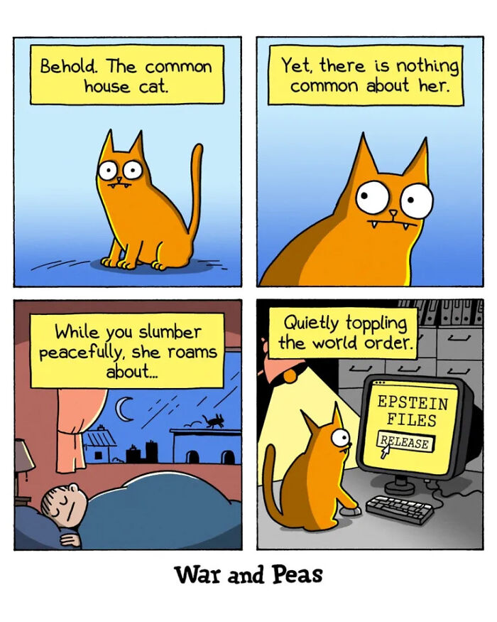 50 Hilarious Cat Comics By ‘War And Peas’ That Capture The Chaos Of Living With Feline