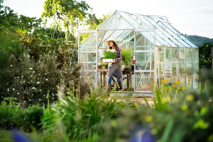 A woman carrying a tray of plants near a greenhouse, raising questions about the economy.
