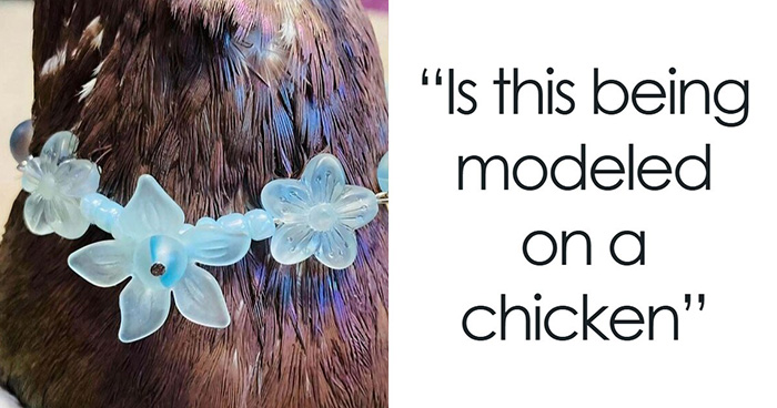 82 Unhinged Depop Sellers And Buyers Who Made Shopping Secondhand An Unexpected Adventure