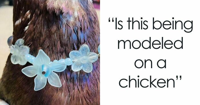 82 Unhinged Depop Sellers And Buyers Who Made Shopping Secondhand An Unexpected Adventure