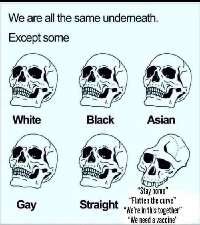An image depicting six skulls, five labeled White, Black, Asian, Gay, Straight, and one deformed skull with unhinged thoughts like Stay home.