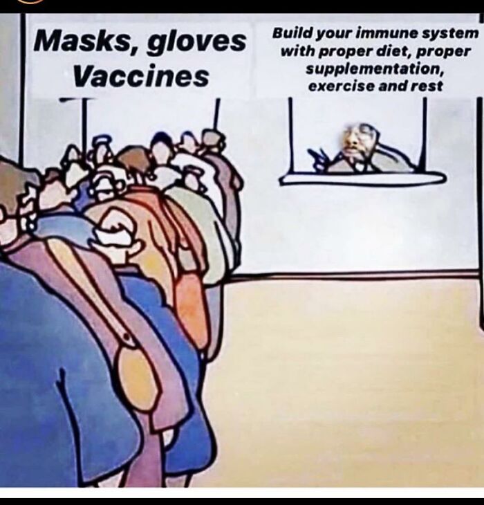 A meme showing people lining up for masks, gloves, and vaccines, contrasting with one person recommending diet for unhinged thoughts.