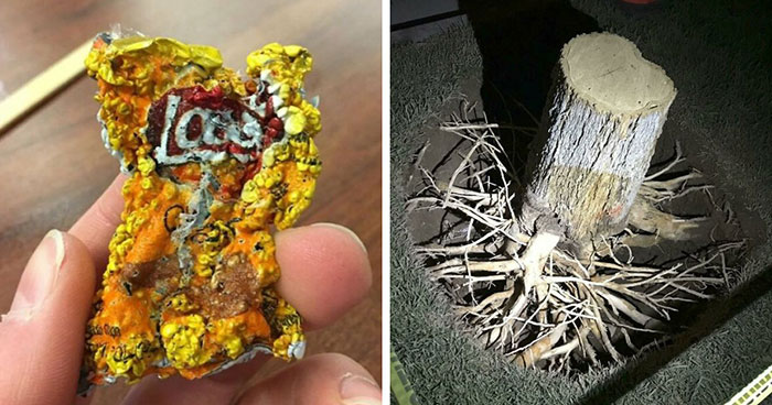 80 “What Happens If…?” Photos With Answers Much Weirder Than You’d Expect