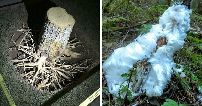 “What Happens If?”: 80 Interesting And Cool Photos Of Things You Might Not Have Seen Before