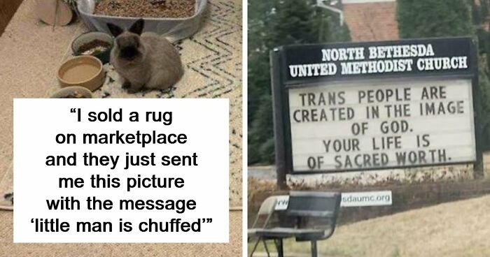 87 Photos That Are So Wholesome They Might Leave You Feeling Warm And Fuzzy (New Pics)
