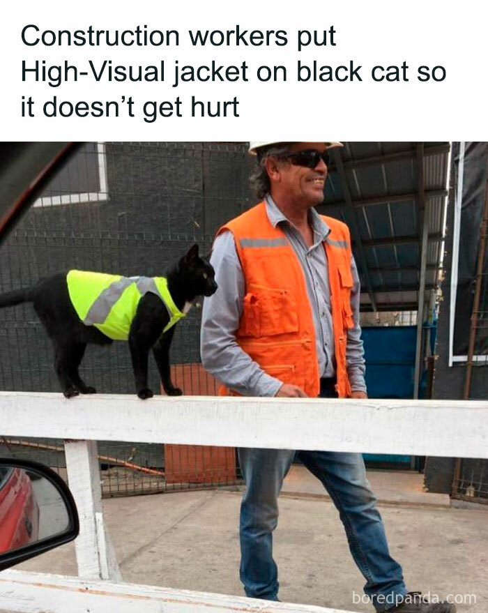 A construction worker standing next to a black cat wearing a high-visibility jacket, a wholesome post.