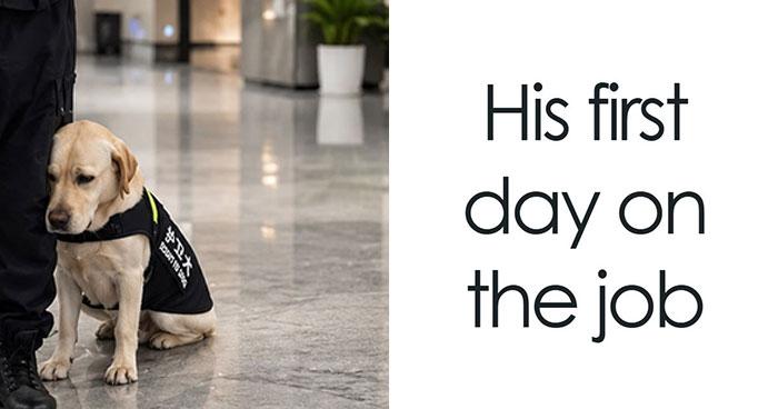 When Life Gets Too Boring, These 99 Random Memes Are Here To Save The Day