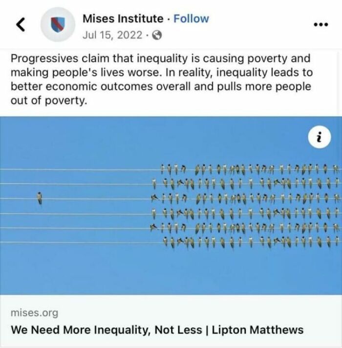 A social media post from Mises Institute, discussing inequality and poverty, showing many birds on power lines with one bird separate. Unhinged thoughts about economic theories.