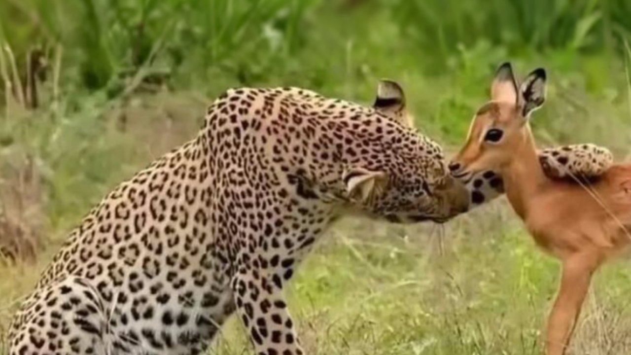 86 Posts About Nature, Wilderness And Animals To Make Your Day Better Or Teach You Something New