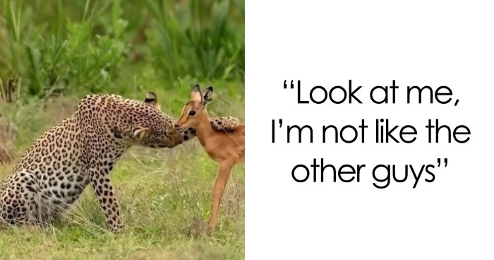 86 Posts About Nature, Wilderness And Animals To Make Your Day Better Or Teach You Something New