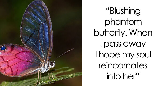 86 Posts About Nature, Wilderness And Animals To Make Your Day Better Or Teach You Something New