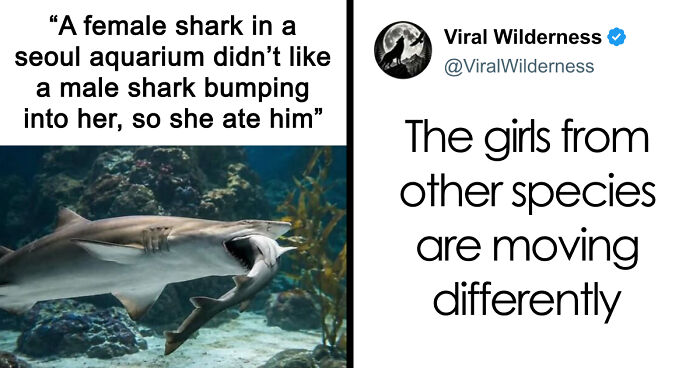 86 Nature Posts That Might Make You Say, “I Had No Idea That Was A Thing”