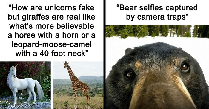 86 Nature Posts That Might Make You Say, “I Had No Idea That Was A Thing”