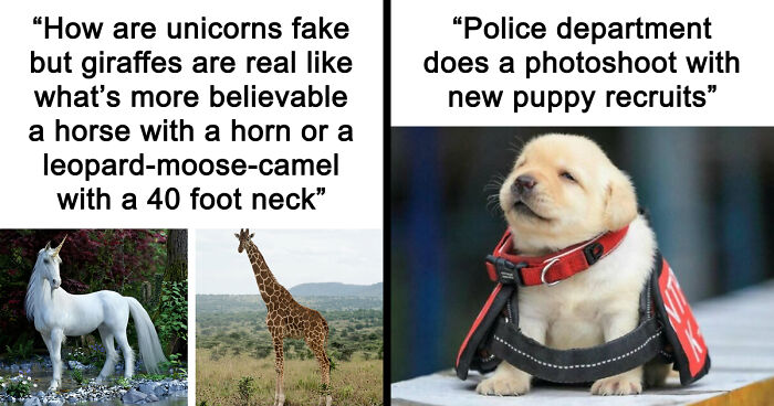 86 Nature Posts That Might Make You Say, “I Had No Idea That Was A Thing”