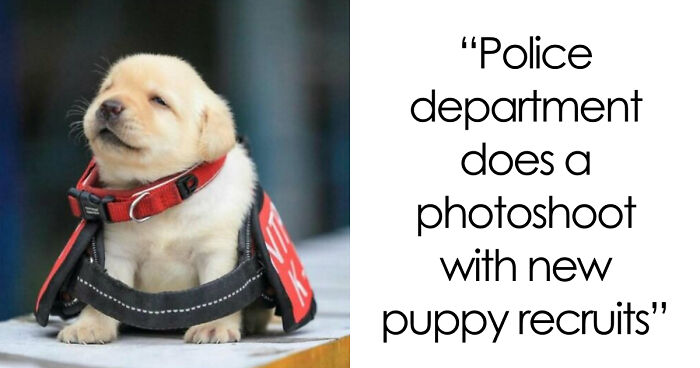 86 Nature Posts That Might Make You Say, “I Had No Idea That Was A Thing”