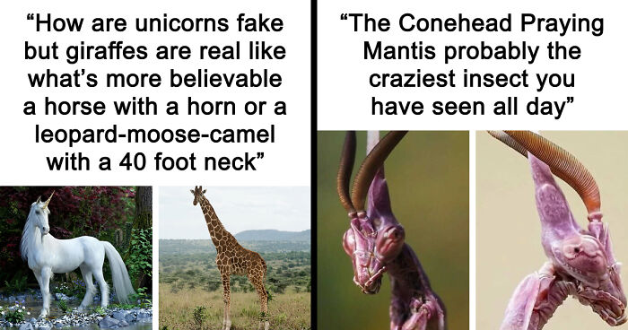 86 Nature Posts That Might Make You Say, “I Had No Idea That Was A Thing”