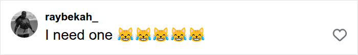A comment section shows a user named raybekah_ saying I need one with laughing cat emojis, praising a clever way to avoid being bothered by men at the club.