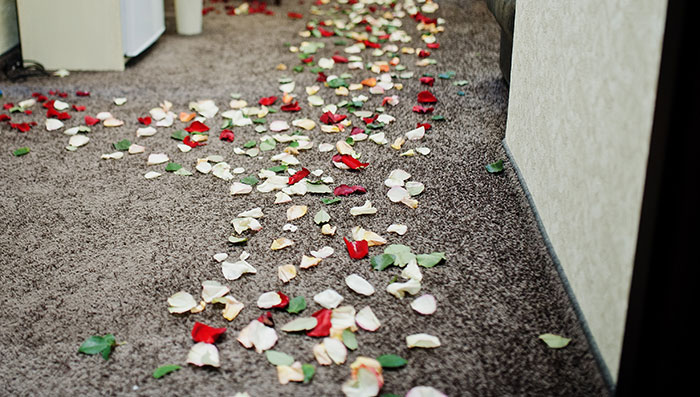 Rose petals scattered on a carpet, perhaps from a turned down marriage proposal.