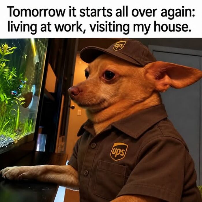 Dog dressed in UPS uniform humorously portraying the reality of working for a living