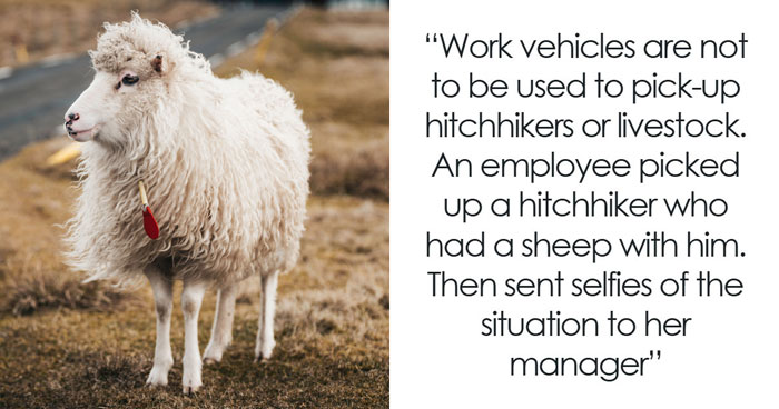 69 Workplace Rules That Exist Because Someone Did Something Truly Unhinged