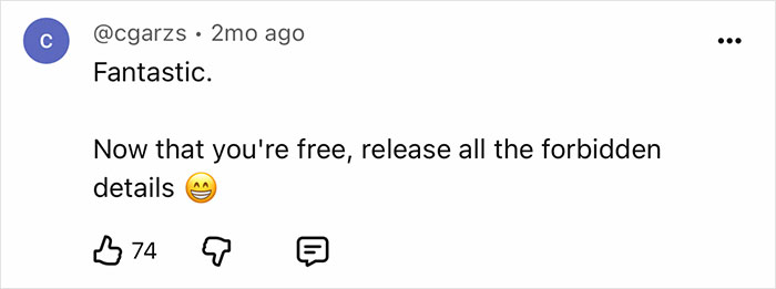 A screenshot of a YouTube comment: Fantastic. Now that you're free, release all the forbidden details, commenting on a YouTuber's dangerous island travel.