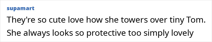 A comment on social media about Zendaya and Tom, mentioning how lovely and protective she looks. A comment on social media about Zendaya and Tom, mentioning how lovely and protective she looks.