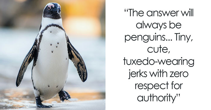 “Tuxedo-Wearing Jerks”: Zookeepers Share Their Beef With Animals In This Hilarious Thread
