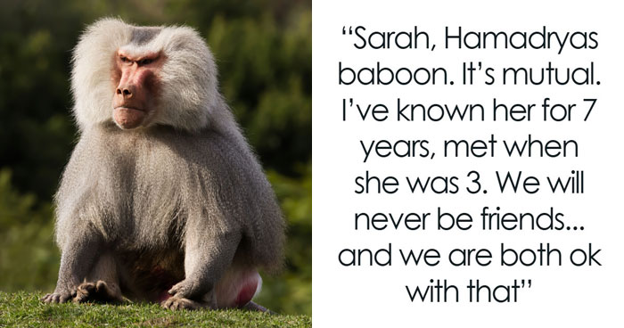 These 49 Animals Seem Cute But Zookeepers Say They Are A Total Nightmare