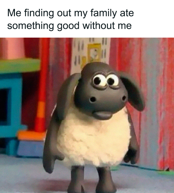 Animated sheep looking shocked about family eating without them, relatable female memes