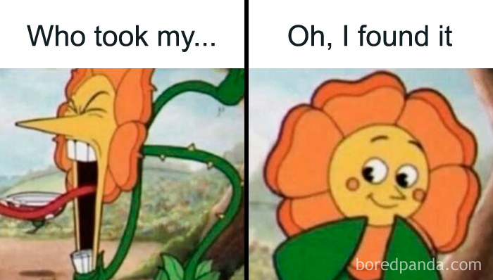 Relatable female meme with cartoon flower character finding what was lost