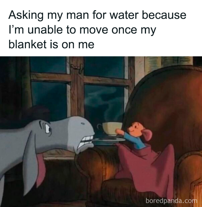 Cartoon mouse offering water to donkey illustrating female memes