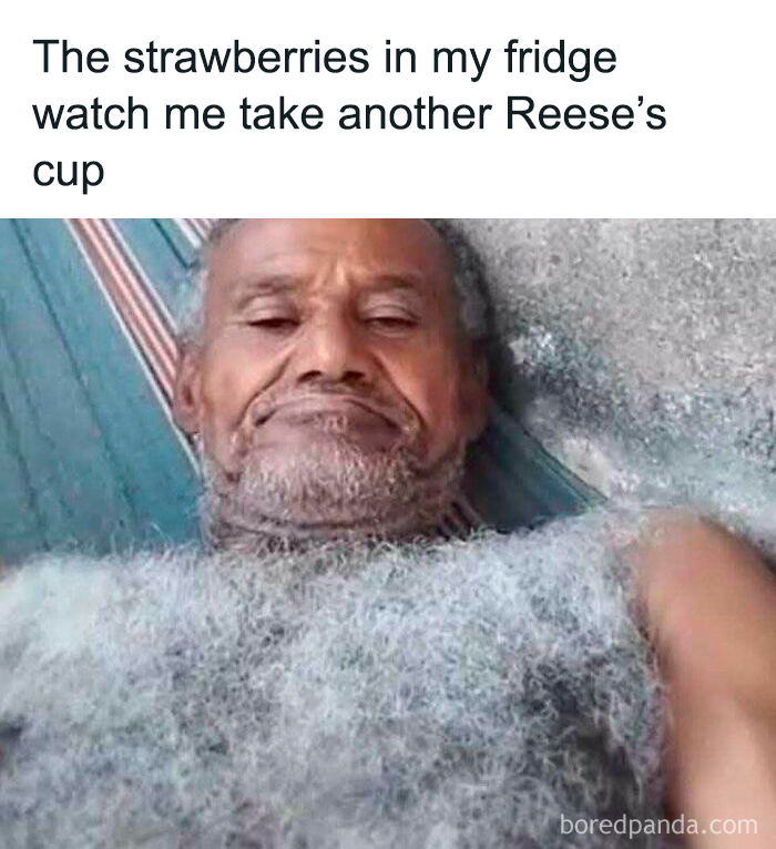 Meme of man covered in fuzz as strawberries watch in fridge