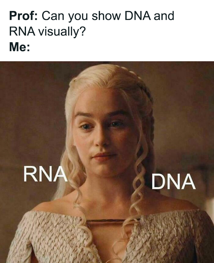 Funny biology meme showing DNA and RNA represented by hair curls on a woman