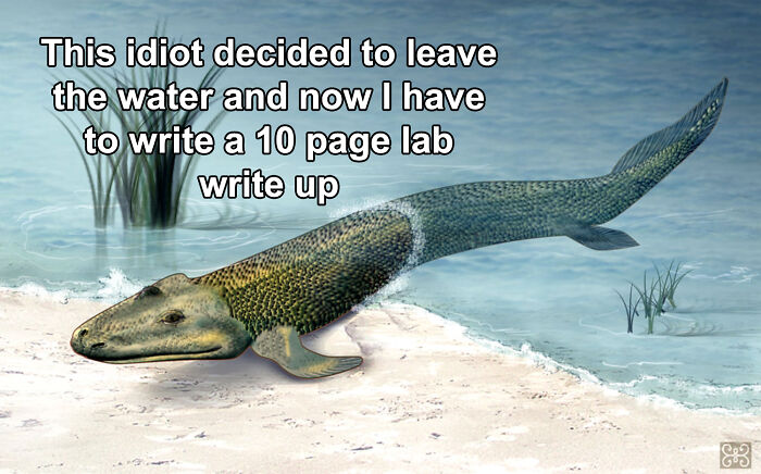 Funny biology meme about amphibian leaving water causing a lab write up