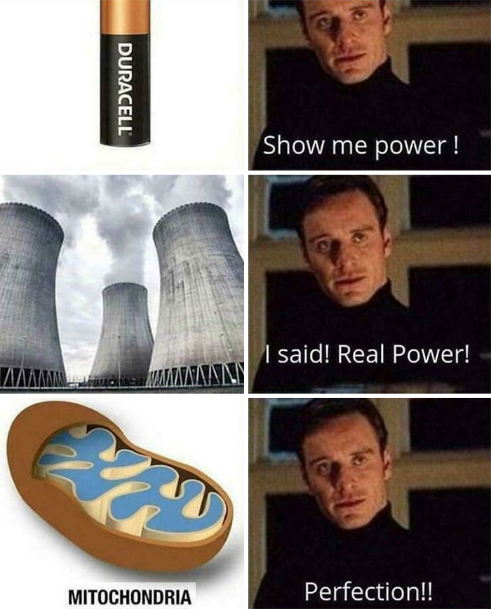 Mitochondria meme showing it as the real power source with funny biology memes
