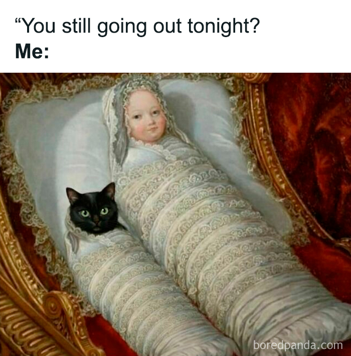 Relatable memes image of a person and cat wrapped in swaddling blankets.