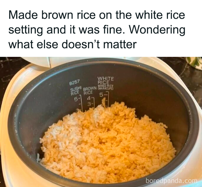 Relatable memes about cooking brown rice using the white rice setting in a rice cooker.
