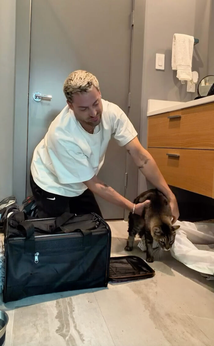 A man carefully helping a shy senior cat step out of its carrier in a new home A man carefully helping a shy senior cat step out of its carrier in a new home