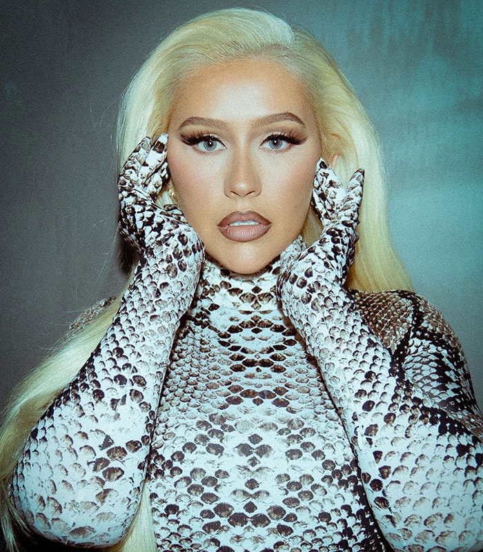 Christina Aguilera makes bold fashion move wearing a snakeskin print outfit with matching gloves.