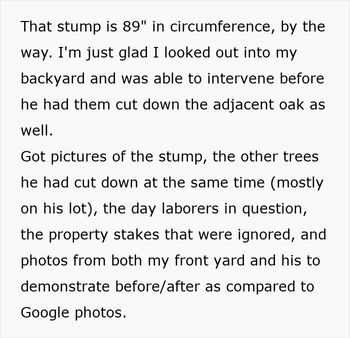 Online forum post details about measuring the stump of the cut down 89-year-old oak tree. Online forum post details about measuring the stump of the cut down 89-year-old oak tree.