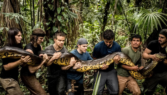 Man Lets A Giant Snake Try To Swallow Him, Says A Much Smaller Animal Hurt Far More