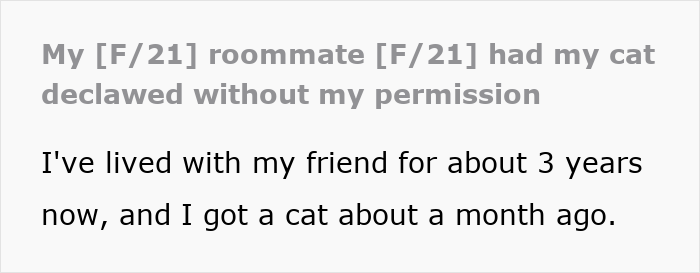 Cat Owner Comes Home To Find Her Pet With Bandaged Paws After Roommate Ignored A Clear &ldquo;No&rdquo;