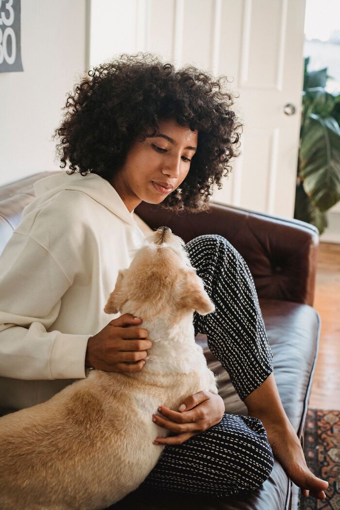 A woman sitting on a couch petting her dog, reflecting on reasons to choose divorce.
