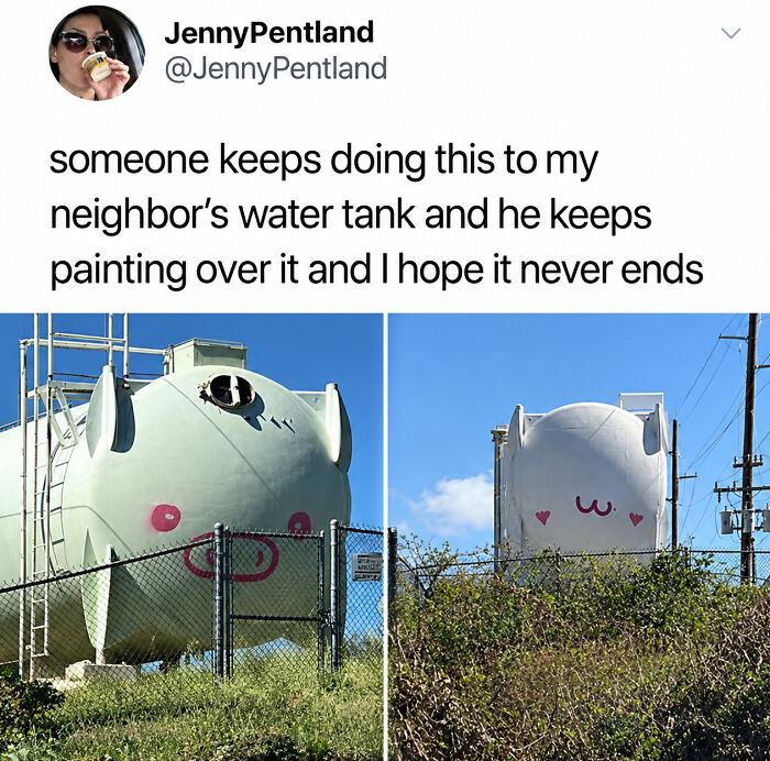Cute acts of vandalism with water tanks painted as a pig and a cartoon face