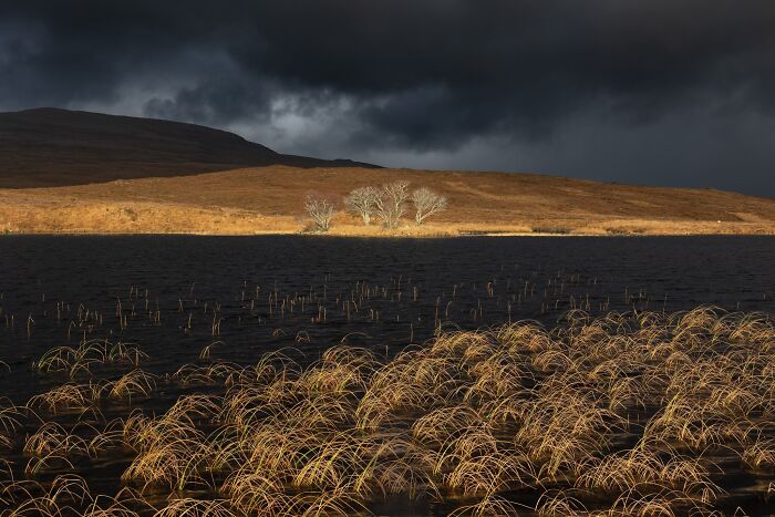 Natural landscape photography of a dramatic stormy sky over a dark lake with golden grasses and distant hills.