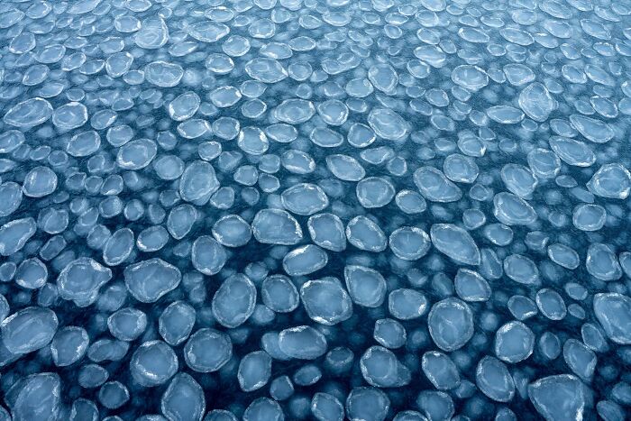 Natural landscape photography awards feature of floating round ice pancakes on blue water
