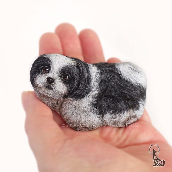 Hand holding a painted stone depicting a lifelike black and white dog