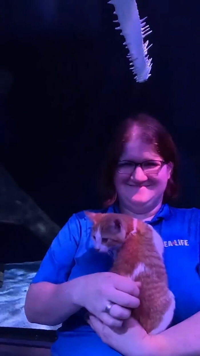 A smiling woman holding a ginger rescue kitten during a special field trip to an aquarium.
