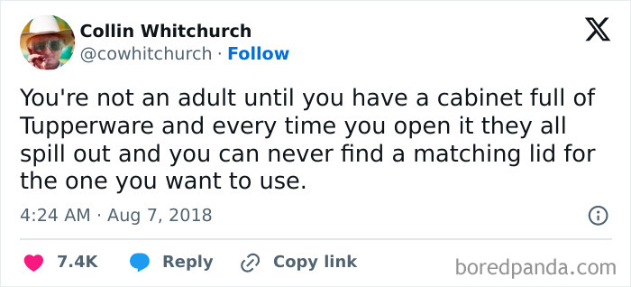Tweet about adult life and having a cabinet full of mismatched Tupperware