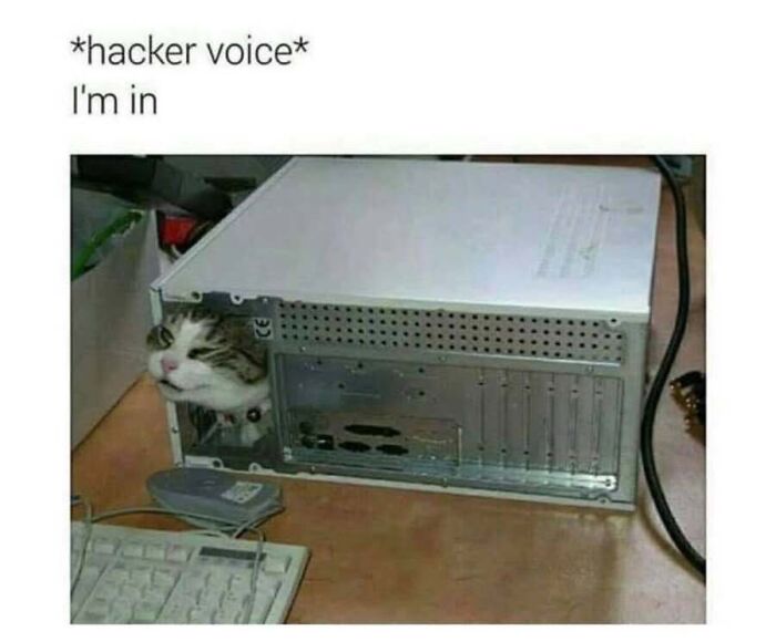 Funny cat meme featuring a feline head poking out from inside a computer desktop case with hacker caption.